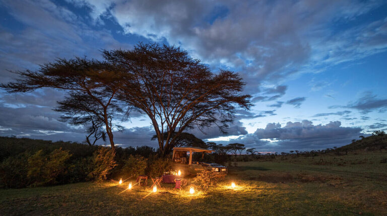 The Final Kenyan Safari