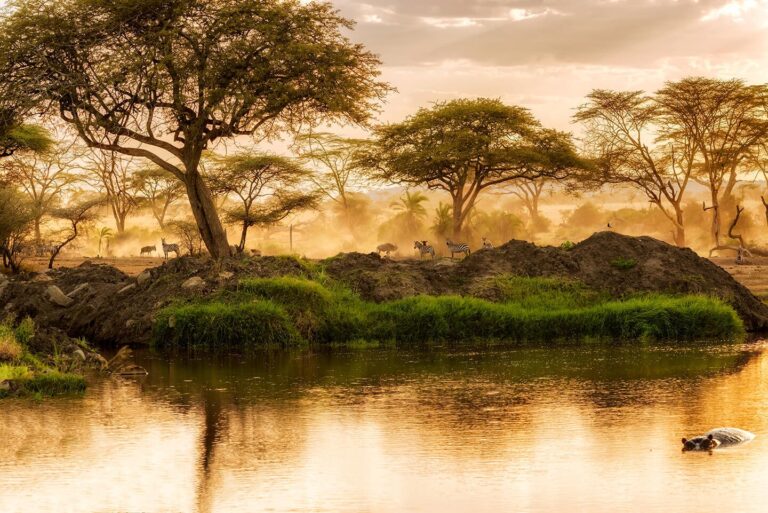 The Finest Locations for Luxurious Safari Journey 