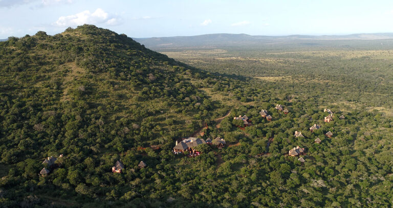Discover the Great thing about Nature with Tantalizing Thanda Safari